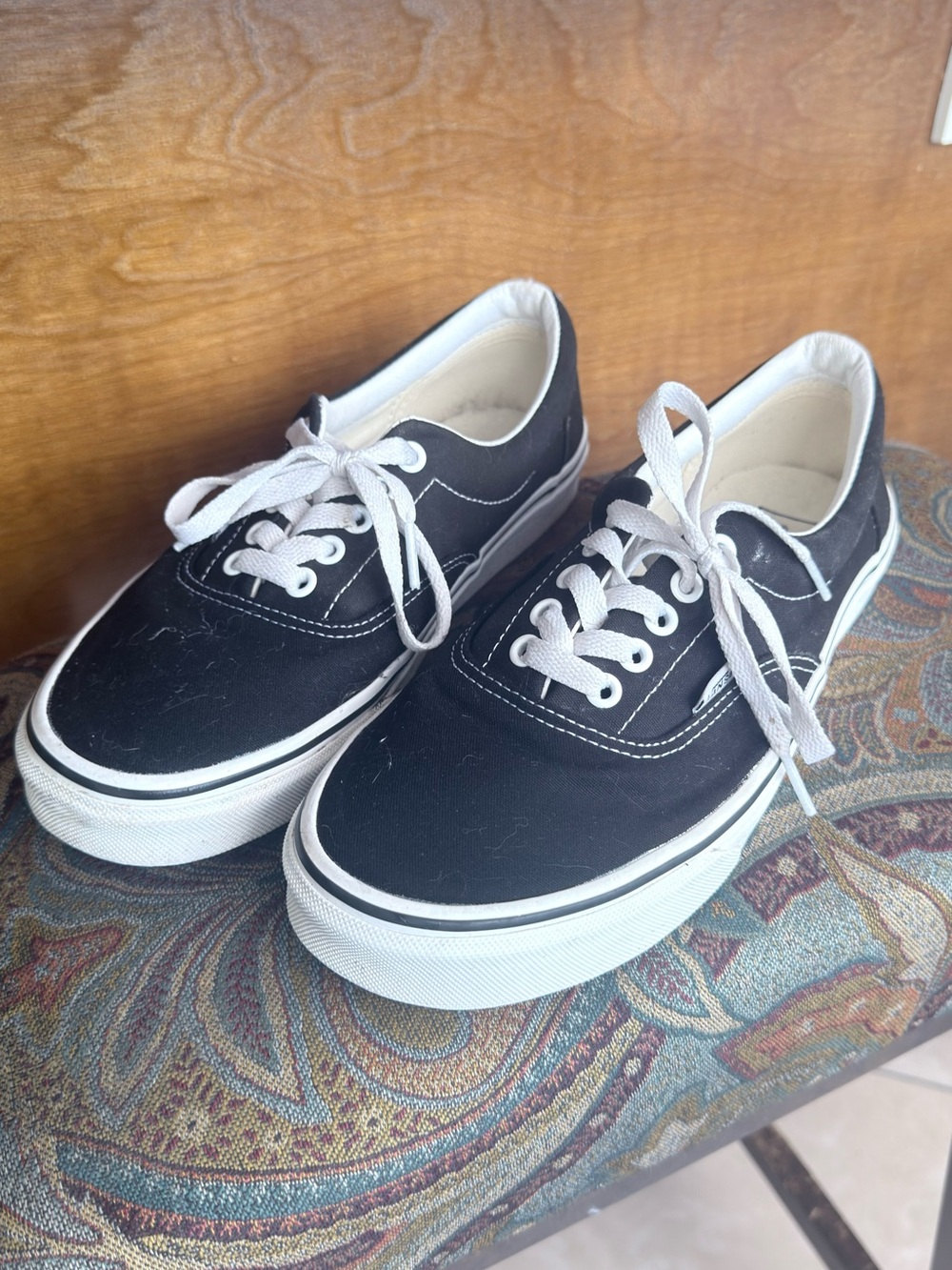 Vans Black Canvas Low-Top Sneakers with White Laces